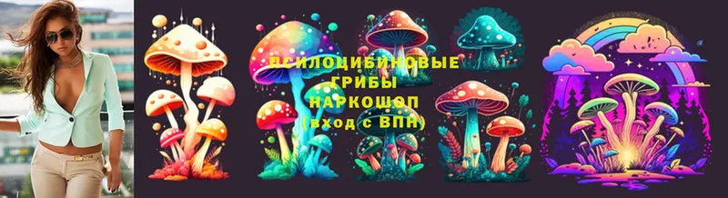 Псилоцибиновые грибы Psilocybine cubensis  даркнет сайт  kraken   Туймазы 